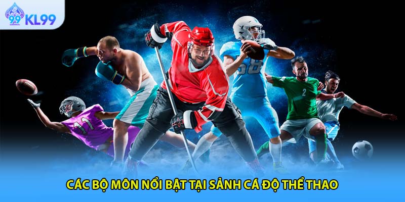 Các bộ môn nổi bật tại sảnh cá độ thể thao 